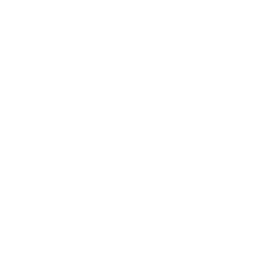 xingxing_lizi.png