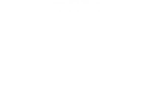 zhi.png