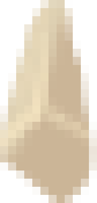 bone.png