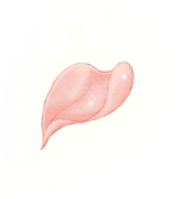 57303ce5261b7.png