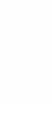 tiao2.png