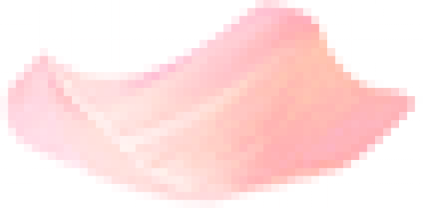 Petals_02.png