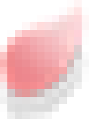 flower02.png