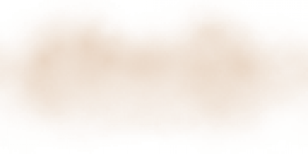 ds_fog.png