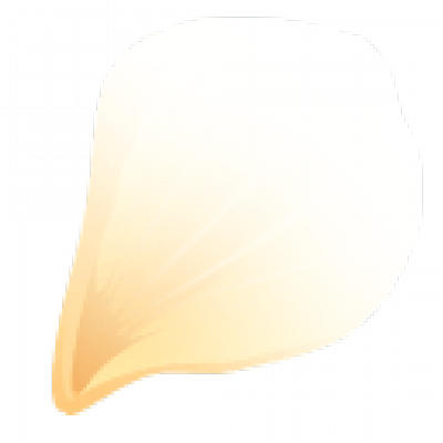 huaban3.png