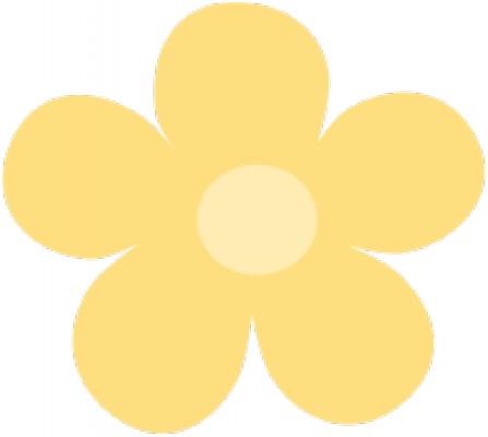 17.png