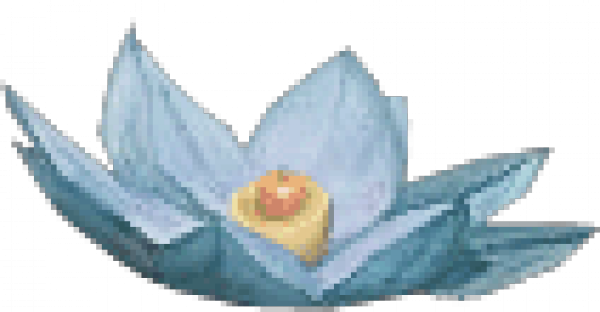 heHua2.png