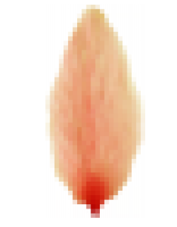 taohuah.png