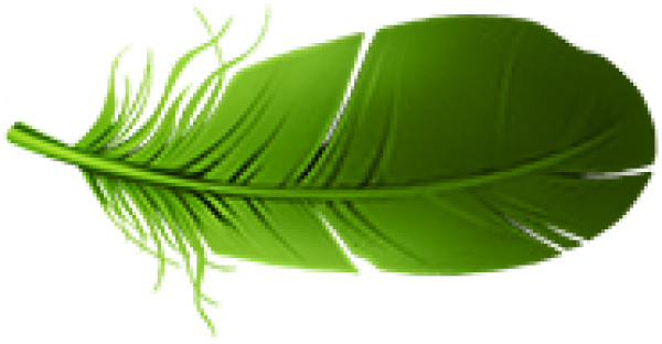 yumao1.png