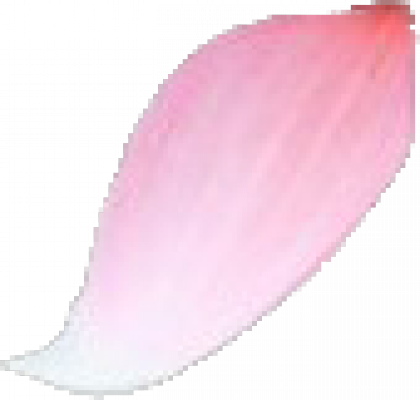 huaban4.png