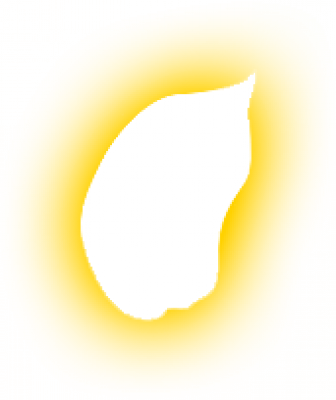 花瓣.png
