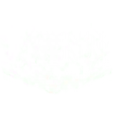 sfd.png