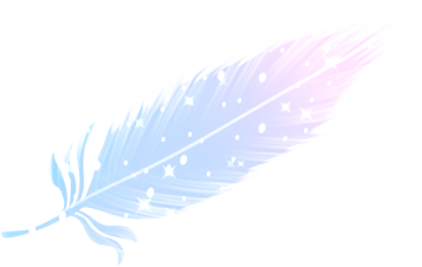 彩色羽毛.png