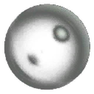 SoapBubble.png