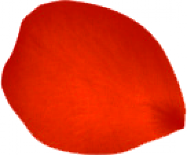 Rose.png