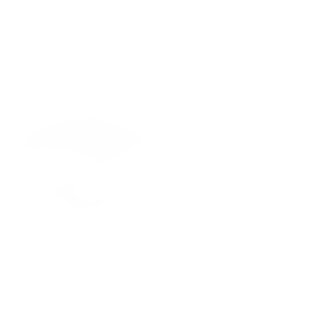 火花.png