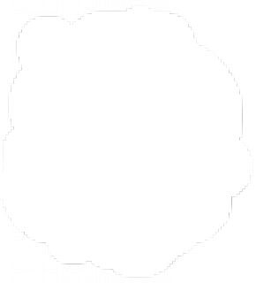 11.png