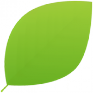 leaf.png