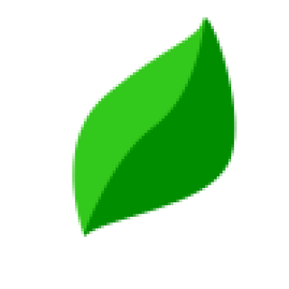 lizi001.png