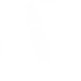 guang02.png