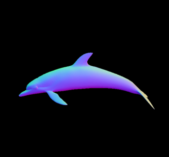 dolphin