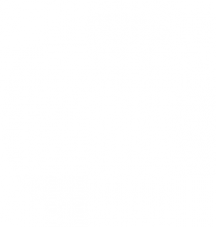 12123223.png