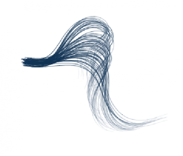 tail with wind and gravity