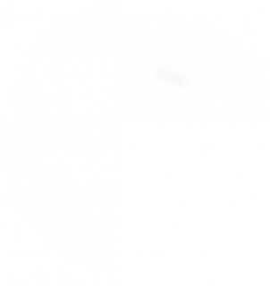 bubble.png