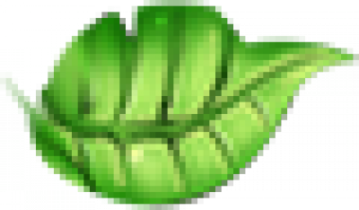 ye1.png