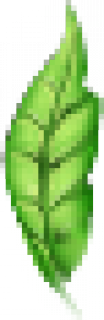 ye2.png