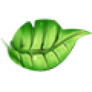ye1.png