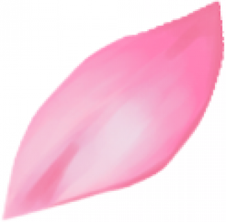 huaban.png