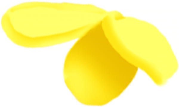 桂花花瓣.png