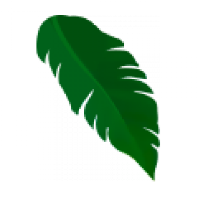 sy2_4.png