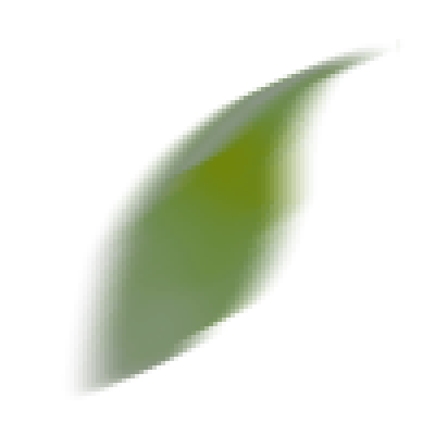 sr_rome_par_leaf_vx.png