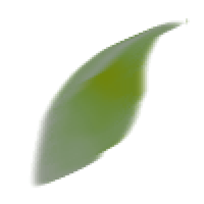 sr_rome_par_leaf2_vx.png