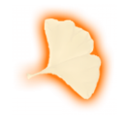 02021.png