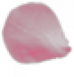 huaban2.png