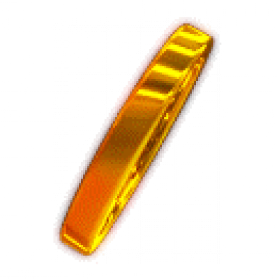 lhj_gold_coin_big_04.png