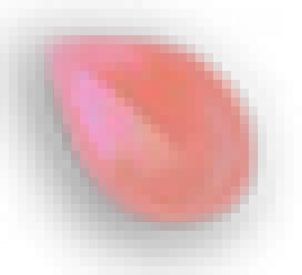 petal.png