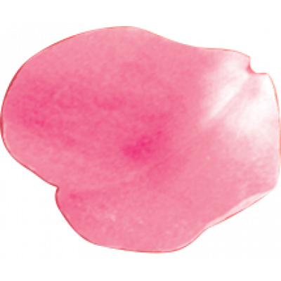 huaban1.png