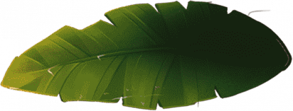 freeSpinsSplashLeaf1.png