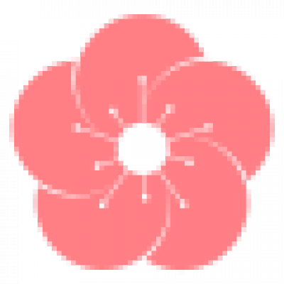 梅花.png