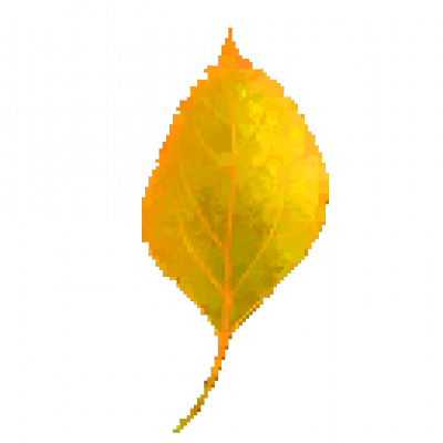 195521oviw5fkwkw8x9efw.png