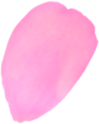 图层 2.png