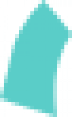 caidai (1).png