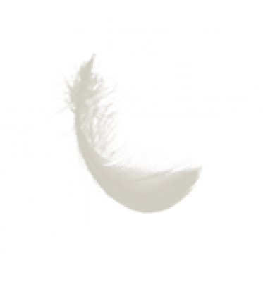 feather.png