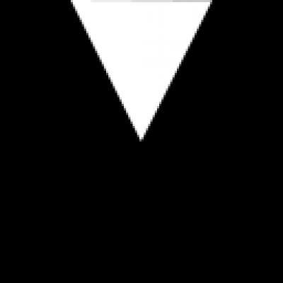 ray_1.png
