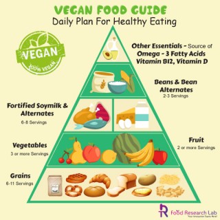 Vegan food guide daily plan for healthy eating