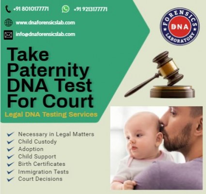 Paternity Test For Court